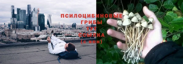 ПСИЛОЦИБИНОВЫЕ ГРИБЫ Абинск