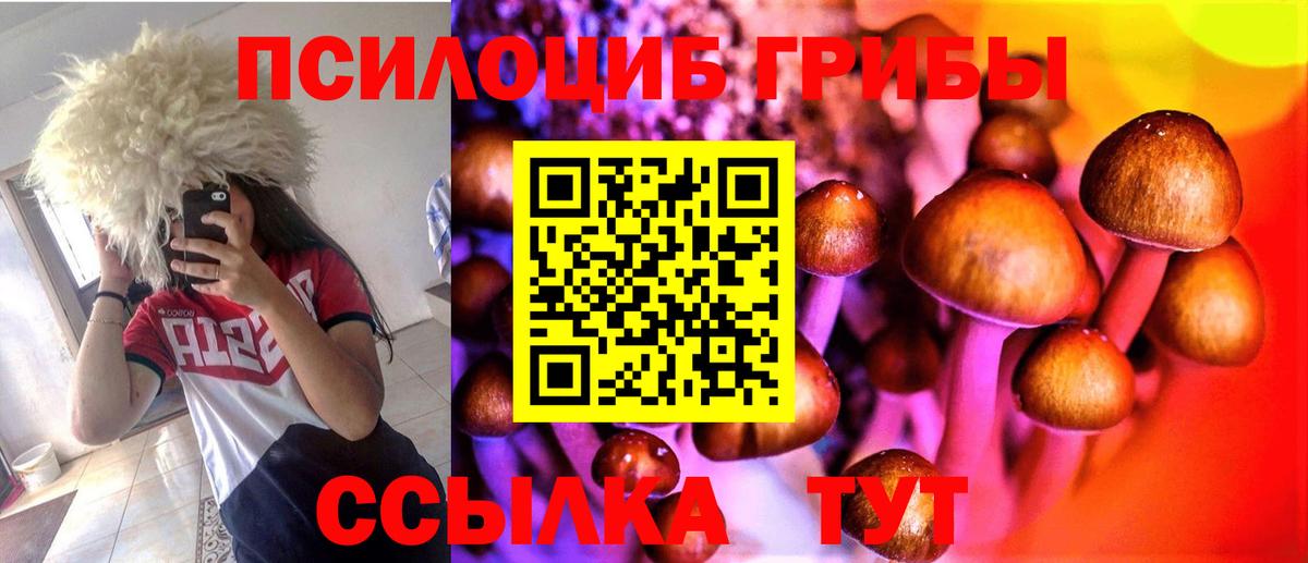Галлюциногенные грибы MAGIC MUSHROOMS  Вход с VPN  купить наркотики сайты  Нижнекамск 
