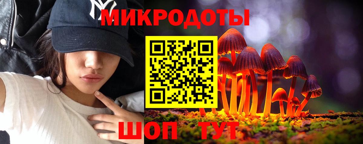Псилоцибиновые грибы Cubensis Нижнекамск