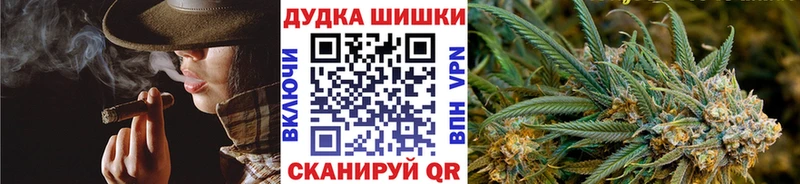 Каннабис план  как найти наркотики  Нижнекамск 