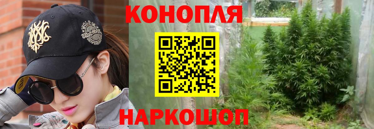 Бошки марихуана сатива Нижнекамск